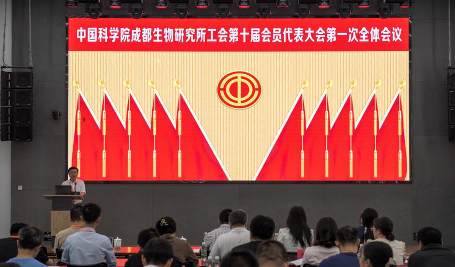 龙创知产